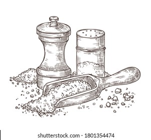 Sea Salt. Sketch Seasoning, Engraving Pepper Shaker And Spoon With Powder. Glass Packing, Spice Kitchenware Ingredients Vector Illustration