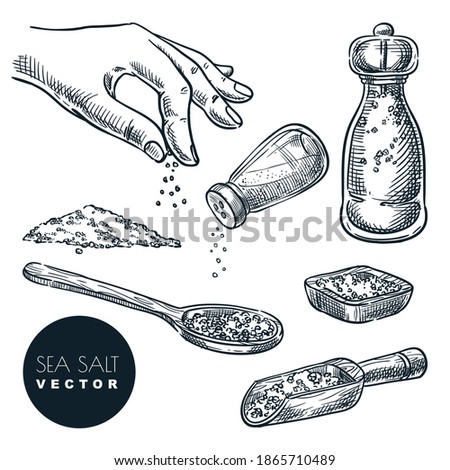 Sea salt sketch vector illustration isolated on white background. Natural ingredient, seasoning spice. Hand drawn design elements.