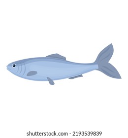 Sea sardine icon cartoon vector. Herring fish. Seafood store