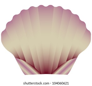 A Sea Scallop Isolated on White