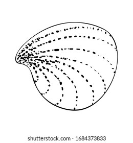 Sea scallop shell in a simple style, isolated vector on white background. Single element with a black outline and dots texture, stylized as a hand ink drawing. Can be used as icon.