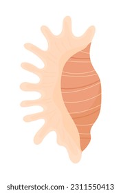 Vectores de caracol de mar, conchas de caracol de mar.Cubierta colorida, concha oceánica, molusco de río o de mar. 
Concepto veraniego con conchas y pez estrella.