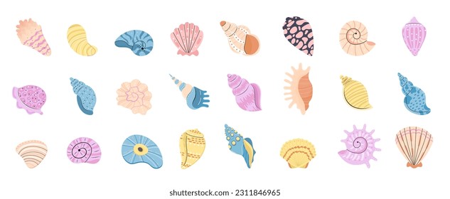 Sea schell, conches of sea snail vector.Colorful shell, ocean conch, rief or sea mollusk. 
Summer concept with shells and starfish.