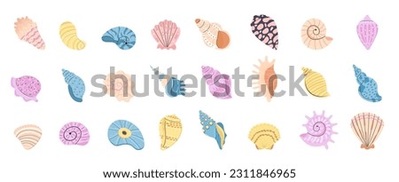 Sea schell, conches of sea snail vector.Colorful shell, ocean conch, rief or sea mollusk. 
Summer concept with shells and starfish. Foto stock © 