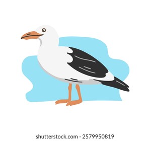 Sea ​​bird seagull. Flying feathered. Animals, nature and ornithology. Cartoon vector illustration isolated on white background