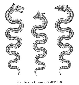 Sea Serpent Illustrations