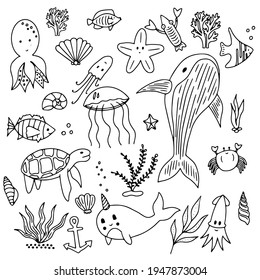 Sea set doodle elements in trendy Simple style. Hand drawn trendy illustration Marine nautical set of elements drawn outline. Vector hand drawing. Doodle Plants, mammals, fish, marine life, shells