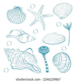 Sea set, with the image of shells, starfish, algae in the sketch style on the theme of vacation, summer, holidays and travel, design for testille, fabric, wrapping paper and wallpaper