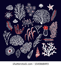 Sea set with seashells, corals, alga and starfishes. Marine elements and plants background.  