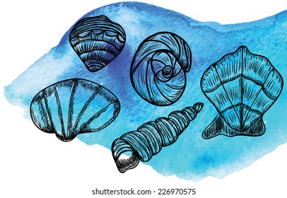 Sea Set from seashells. Watercolor texture.