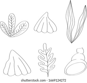 Maravillas marinas con algas marinas ilustraciones vectoriales aisladas de verano