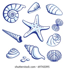 Sea Set From Starfishes and Cockleshells. Vector illustration on white background.