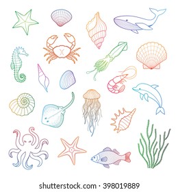 Sea set. Stingray, jellyfish, octopus, seaweed, fish, starfish, jellyfish, squid, crab, sea horse, dolphin. Vector illustration. Isolated on white background.