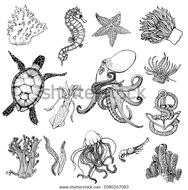 Sea Set Sea Turtle Octopus Cuttlefishjellyfish Stock Vector (Royalty ...