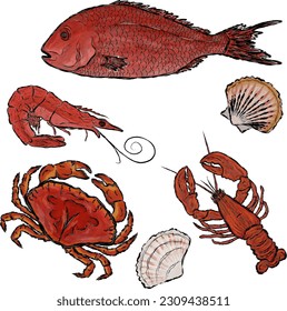 Sea set. Vector illustration. fish, cancer, crab, shrimp, shells. Black stroke. Elements for design