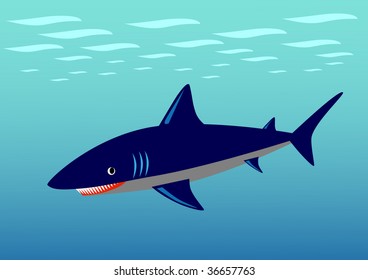 Sea with shark