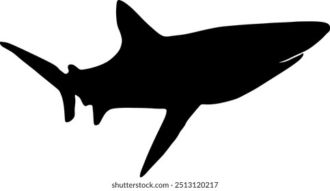  Tubarão-mar, peixe, predador, animal, silhueta, vetor, ilustração, em preto e branco, silhueta