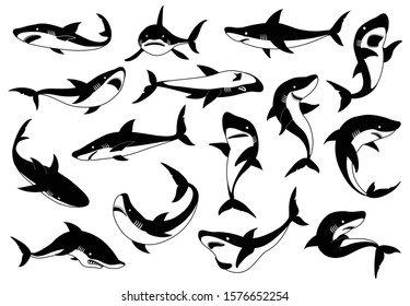 Sea shark vector black set icon. Vector illustration sea fish of shark on white background .Isolated black icon ocean animal.