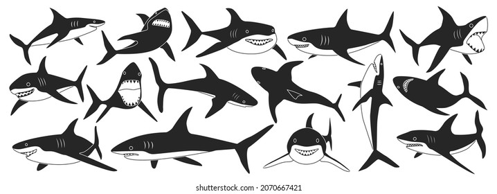 Sea shark vector black set icon. Vector illustration sea fish of shark on white background .Isolated black icon ocean animal.