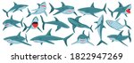 Sea shark vector cartoon set icon. Vector illustration sea fish of shark on white background .Isolated cartoon icon ocean animal.