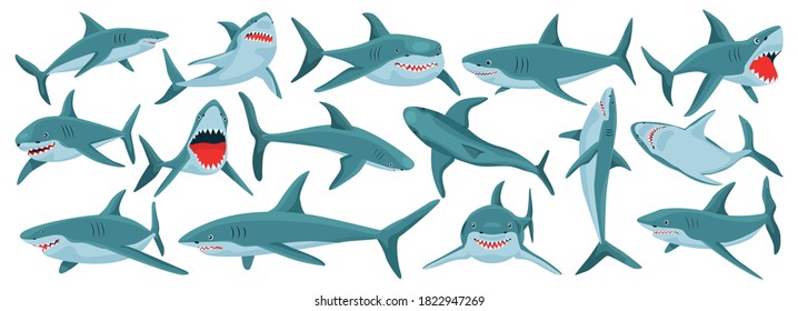 Sea shark vector cartoon set icon. Vector illustration sea fish of shark on white background .Isolated cartoon icon ocean animal.