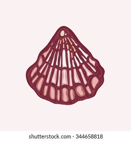 Sea shell. 