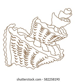 sea shell
