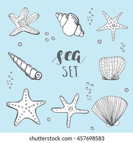 Sea shell background. Hand drawn sea elements shells, stars and corals in a circle shape frame