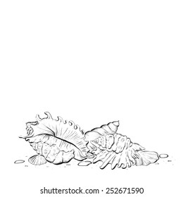 Sea shell background with space for text