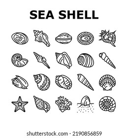 sea shell beach summer ocean icons set vector. seashell starfish, marine scallop, snail sand, star tropical water, spiral animal sea shell beach summer ocean black contour illustrations