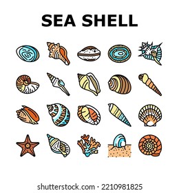 sea shell beach summer ocean icons set vector. seashell starfish, marine scallop, snail sand, star tropical water, spiral animal sea shell beach summer ocean color line illustrations