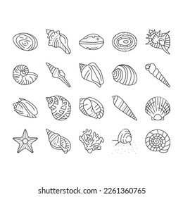 sea shell beach summer ocean icons set vector. seashell starfish, marine scallop, snail sand, star tropical water, spiral animal sea shell beach summer ocean black contour illustrations