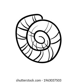sea shell. Black and white coloring. Cute monochrome print for printing on fabric, paper, wallpaper, packaging. Summer goods. Vector illustration, doodles