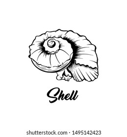 Sea shell black and white vector illustration. Spiral shaped nautical creature freehand drawing. Exotic mollusk, marine invertebrate animal engraving. Summer vacation poster design element