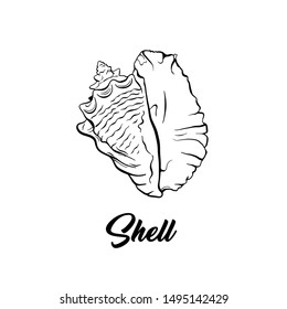 Sea shell black and white vector illustration. Spiral shaped nautical creature freehand drawing. Exotic mollusk, marine invertebrate animal engraving. Summer vacation poster design element