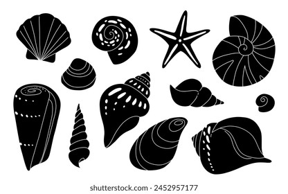 Conjunto de dibujos animados de concha marina. Océano exótico bajo el agua concha de concha de concha molusco acuático, colección de caracol de espiral de mar. Conchas de playa tropicales. Estilo plano moderno aislado sobre fondo blanco. Ilustración vectorial