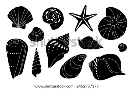 Sea shell cartoon set. Ocean exotic underwater seashell conch aquatic mollusk, sea spiral snail collection. Tropical beach shells. Modern flat style isolated on white background. Vector illustration