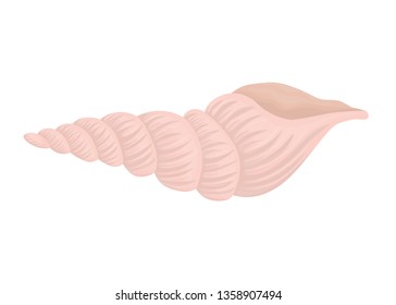 Sea shell in cartoon style isolated on white background. Vector illustration.