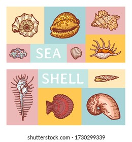 Zeichentrickfilm in der Seeschale - Symbol für Vektorgrafik isoliert auf Farbtablette. Ozeancockleshell erforschen Meeresfauna und -küste studieren antike Fossilienbewohner. Sommer tropische Zeit, Flora Fauna Perlenbergbau.