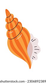 Sea Shell Clam Vector Illustration