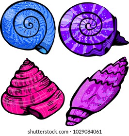 Sea shell collection on white background

