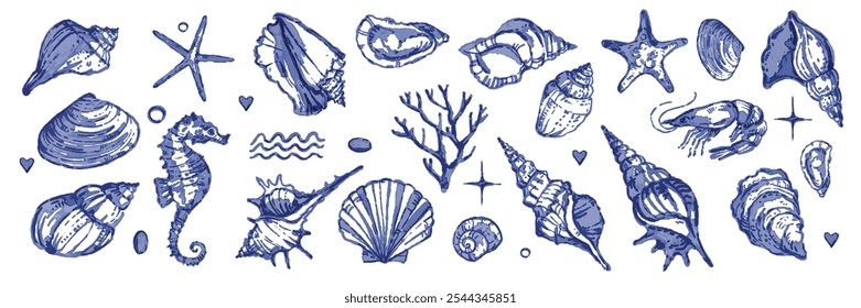 Colección de concha de mar, acuarela de Vector dibujado a mano concha del océano conjunto, naturaleza exótica molusco, estrella de mar. Ilustración retro náutica de tinta azul mediterránea, kit marino de viaje de verano. Concha marina submarina