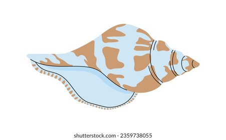 Sea shell concept. Natural sea and underwater object. Tropical countries souvenir. Sticker for social networks and messengers. Cartoon flat vector illustration isolated on white background