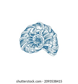 Cubierta marina o concha en forma de espiral, ilustración vectorial de estilo grabado a mano aislada en fondo blanco. Moluscos con conchas marinas o mariscos marinos.