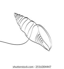 Sea shell in continuous line art drawing style. Hand drawn vector illustration. Minimalist black linear sketch isolated on white background.
