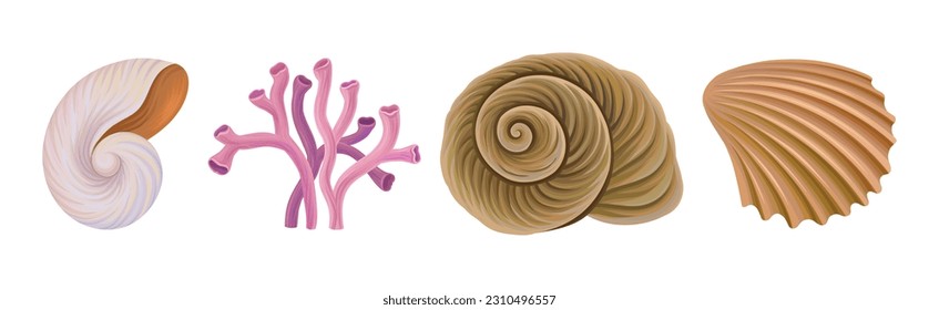 Sea Shell and Coral as Aquatic Object Vector Set