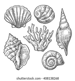 Sea shell and coral. Set black Engraving vintage vector illustrations.  Isolated on white background