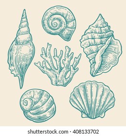 Sea shell and coral. Set engraving vintage vector illustrations. Isolated on light background. Nautilus fauna ocean aquatic underwater