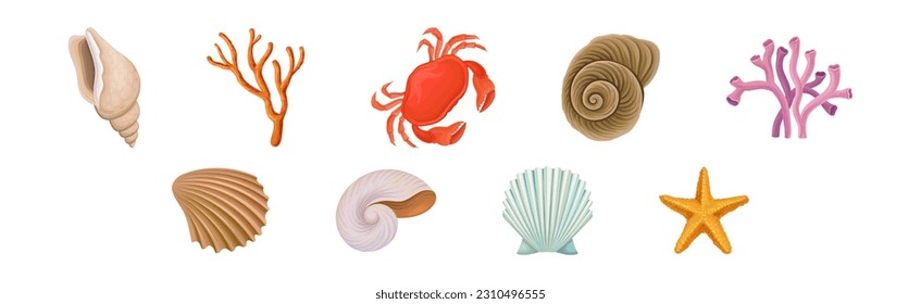 Sea Shell, Crab and Coral as Aquatic Object Vector Set