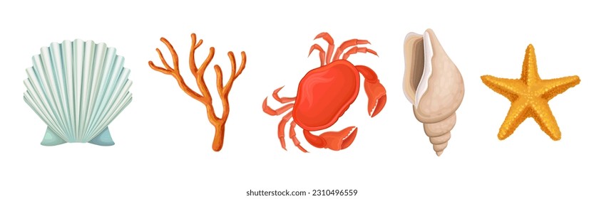 Sea Shell, Crab and Coral as Aquatic Object Vector Set